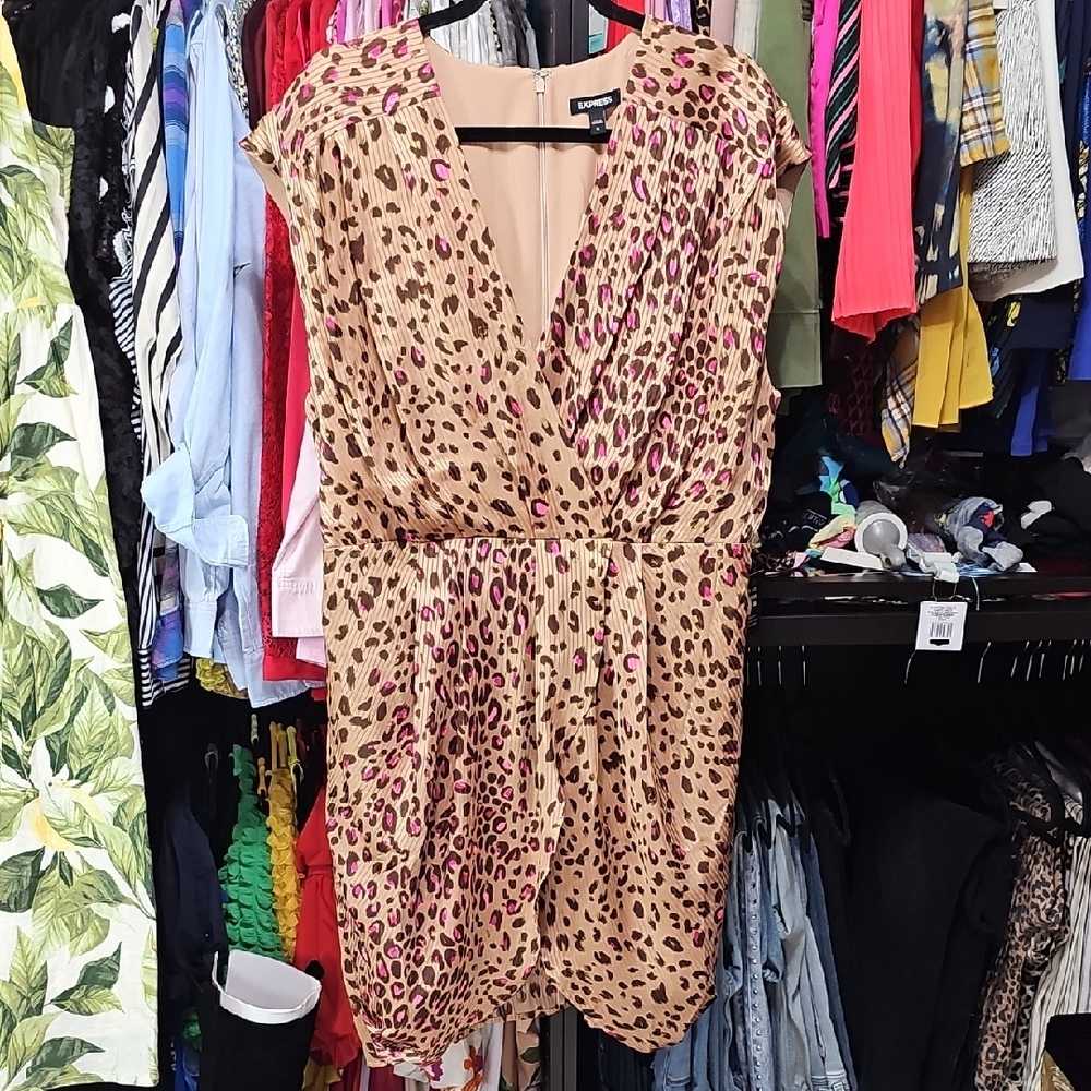 Express Brown and Cream Dolman Sleeve Mini Sundress